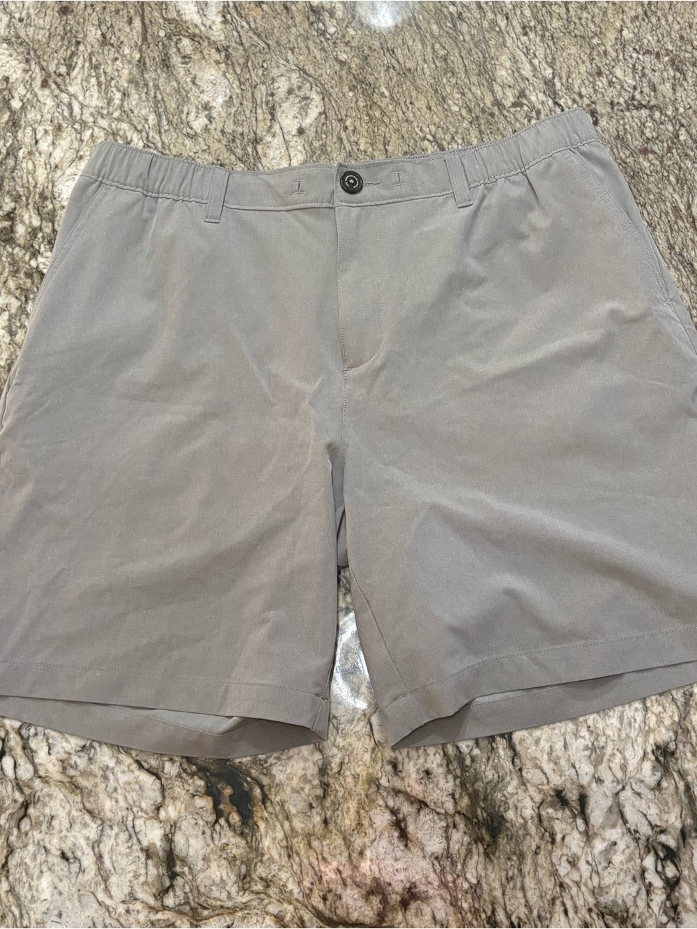 Men’s Chubbies 8” shorts